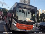 TRANSPPASS - Transporte de Passageiros 8 0064 na cidade de São Paulo, São Paulo, Brasil, por Rafael Lopes de Oliveira. Número da foto: #12850232.