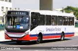 Empresa de Transportes Limousine Carioca RJ 129.082 na cidade de Rio de Janeiro, Rio de Janeiro, Brasil, por Paulo Henrique Pereira Borges. Número da foto: #12848756.