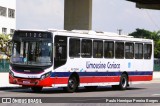 Empresa de Transportes Limousine Carioca RJ 129.044 na cidade de Rio de Janeiro, Rio de Janeiro, Brasil, por Paulo Henrique Pereira Borges. Número da foto: #12848741.