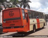 Rápido Goiás 799 na cidade de Campo Limpo de Goiás, Goiás, Brasil, por Daniel Santos Montalvão. Número da foto: #12848902.