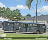 Jundiá Transportadora Turistica 1241 na cidade de Mairinque, São Paulo, Brasil, por Flavio Alberto Fernandes. Número da foto: #:id.