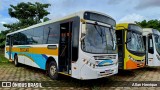 Terra Auto Viação 708 na cidade de Paulínia, São Paulo, Brasil, por Allan Henrique. Número da foto: #12848927.