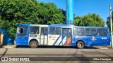 Transportes Capellini 19.176 na cidade de Sumaré, São Paulo, Brasil, por Allan Henrique. Número da foto: #12848647.
