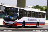 Empresa de Transportes Limousine Carioca RJ 129.033 na cidade de Rio de Janeiro, Rio de Janeiro, Brasil, por Paulo Henrique Pereira Borges. Número da foto: #:id.