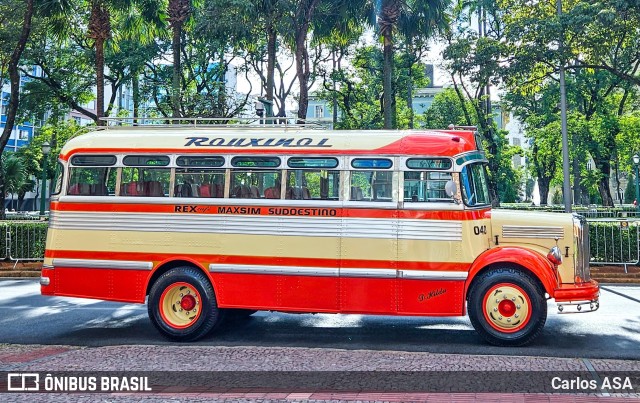 Rouxinol 040 na cidade de Contagem, Minas Gerais, Brasil, por Carlos ASA. Número da foto: #12874760.