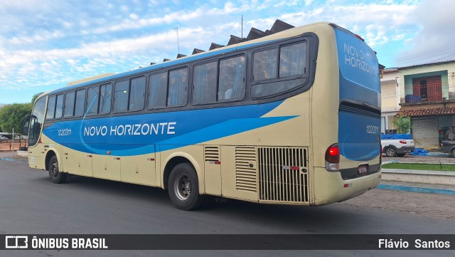Viação Novo Horizonte 1020311 na cidade de Tanhaçu, Bahia, Brasil, por Flávio  Santos. Número da foto: #12874378.