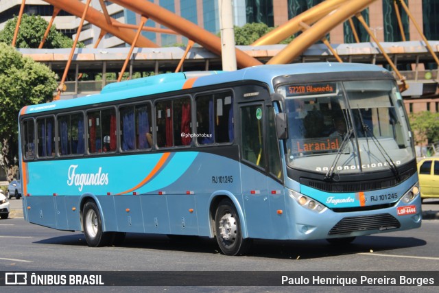 Auto Ônibus Fagundes RJ 101.245 na cidade de Rio de Janeiro, Rio de Janeiro, Brasil, por Paulo Henrique Pereira Borges. Número da foto: #12876028.