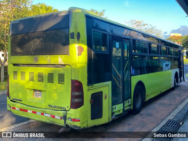 Inversiones La Tapachula 260 na cidade de Pozos, Santa Ana, San José, Costa Rica, por Sebas Gamboa. Número da foto: #12875739.