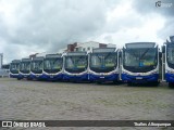 Trampolim da Vitória 522 na cidade de Parnamirim, Rio Grande do Norte, Brasil, por Thalles Albuquerque. Número da foto: #12875498.