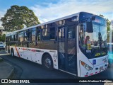 TUASA - Transportes Unidos Alajuelenses 415 na cidade de Hospital, San José, San José, Costa Rica, por Andrés Martínez Rodríguez. Número da foto: #12875790.
