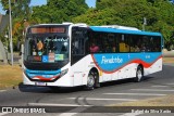 Viação Pendotiba RJ 211.020 na cidade de Rio de Janeiro, Rio de Janeiro, Brasil, por Rafael da Silva Xarão. Número da foto: #:id.