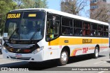 TAP Turismo e Fretamento 120 na cidade de Barra do Piraí, Rio de Janeiro, Brasil, por José Augusto de Souza Oliveira. Número da foto: #:id.