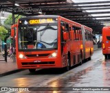 Viação Cidade Sorriso >> Viação Sorriso de Curitiba DE695 na cidade de Curitiba, Paraná, Brasil, por Felipe Gabriel Boganika Barros. Número da foto: #12874420.