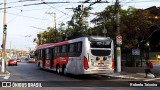 Himalaia Transportes > Ambiental Transportes Urbanos 4 1536 na cidade de São Paulo, São Paulo, Brasil, por Roberto Teixeira. Número da foto: #12875213.