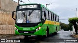 Transportes Capellini 3257 na cidade de Paulínia, São Paulo, Brasil, por Allan Henrique. Número da foto: #12876184.