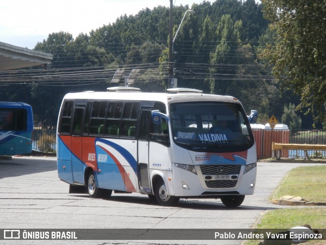 Buses Mehuin 19 na cidade de Valdivia, Valdivia, Los Ríos, Chile, por Pablo Andres Yavar Espinoza. Número da foto: #12878528.