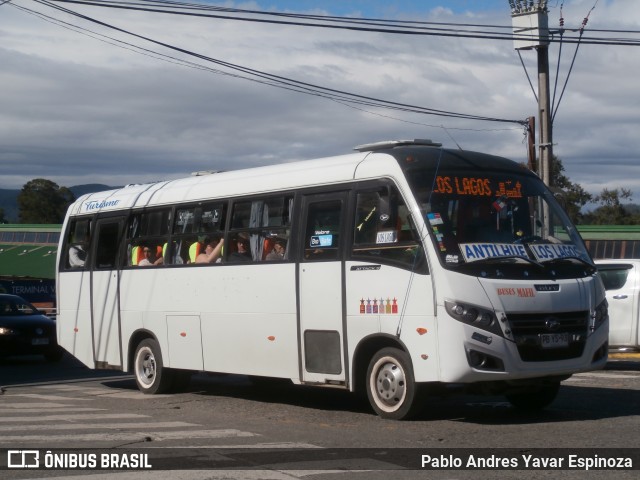 Buses Mafil 29 na cidade de Valdivia, Valdivia, Los Ríos, Chile, por Pablo Andres Yavar Espinoza. Número da foto: #12878504.