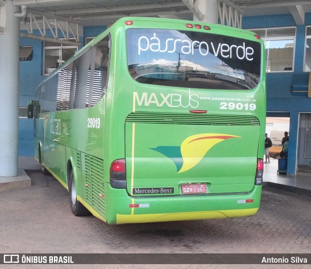 Pássaro Verde 29019 na cidade de Santa Bárbara, Minas Gerais, Brasil, por Antonio Silva. Número da foto: #12878093.