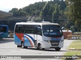 Buses Mehuin 19 na cidade de Valdivia, Valdivia, Los Ríos, Chile, por Pablo Andres Yavar Espinoza. Número da foto: #12878528.