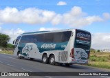 Águia Turismo 1109 na cidade de Caruaru, Pernambuco, Brasil, por Lenilson da Silva Pessoa. Número da foto: #12878212.