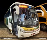 Empresa Gontijo de Transportes 19060 na cidade de Manhuaçu, Minas Gerais, Brasil, por Eduardo Vieira. Número da foto: #12876965.