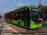 Himalaia Transportes > Ambiental Transportes Urbanos 4 1121 na cidade de São Paulo, São Paulo, Brasil, por Rogério Teixeira Varadi. Número da foto: #12877415.