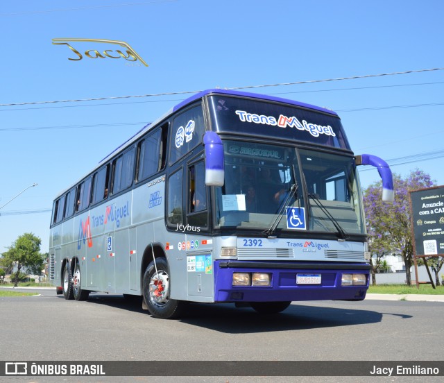 Trans Miguel 2392 na cidade de Holambra, São Paulo, Brasil, por Jacy Emiliano. Número da foto: #12879228.
