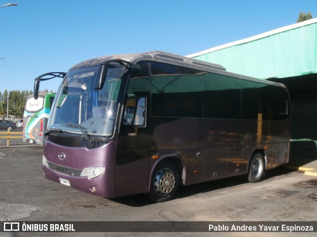 Transportes El Rápido Benja 02 na cidade de Santa Cruz, Colchagua, Libertador General Bernardo O'Higgins, Chile, por Pablo Andres Yavar Espinoza. Número da foto: #12879896.