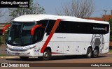 Expresso Adamantina 431428 na cidade de Rondonópolis, Mato Grosso, Brasil, por Andrey Gustavo. Número da foto: #12879944.