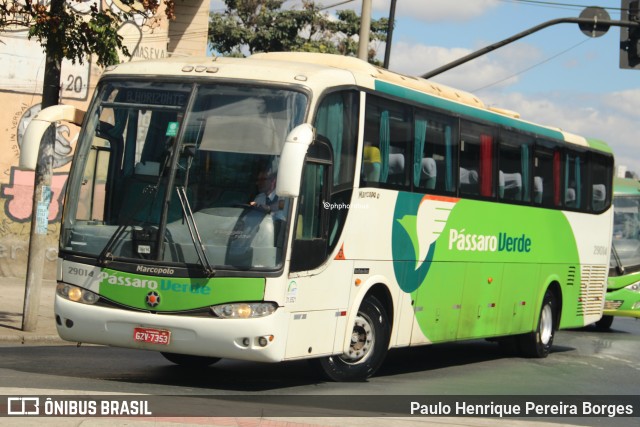 Pássaro Verde 29014 na cidade de Belo Horizonte, Minas Gerais, Brasil, por Paulo Henrique Pereira Borges. Número da foto: #12881761.