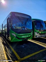 Transportes Capellini 12354 na cidade de Paulínia, São Paulo, Brasil, por Allan Henrique. Número da foto: #12881705.