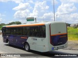 Autotrans > Turilessa  na cidade de Belo Horizonte, Minas Gerais, Brasil, por Adão Raimundo Marcelino. Número da foto: #12882649.