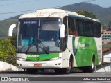 Pássaro Verde 29020 na cidade de Ouro Preto, Minas Gerais, Brasil, por Helder José Santos Luz. Número da foto: #12884518.