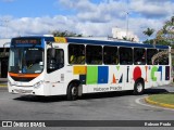 Transcel > CS Brasil 1005 na cidade de Mogi das Cruzes, São Paulo, Brasil, por Robson Prado. Número da foto: #12884751.