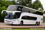 Alexandre Turismo 1100 na cidade de Curitiba, Paraná, Brasil, por Paulo Henrique Pereira Borges. Número da foto: #12884451.