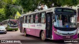 Transportadora Arsenal AA-31812 na cidade de Belém, Pará, Brasil, por Leonardo Rocha. Número da foto: #12884092.