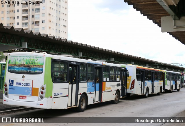 Rápido Araguaia 50384 na cidade de Goiânia, Goiás, Brasil, por Busologia Gabrielística. Número da foto: #12886459.