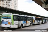 Rápido Araguaia 50384 na cidade de Goiânia, Goiás, Brasil, por Busologia Gabrielística. Número da foto: #12886459.