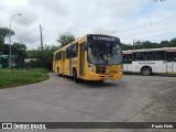 Borborema Imperial Transportes 313 na cidade de Jaboatão dos Guararapes, Pernambuco, Brasil, por Paulo Neto. Número da foto: #:id.