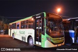 Viação Falcão RJ 179.013 na cidade de Botucatu, São Paulo, Brasil, por Alexandre Mizael Detoni. Número da foto: #12886005.