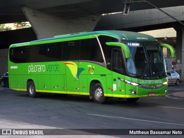 Pássaro Verde 19160 na cidade de Belo Horizonte, Minas Gerais, Brasil, por Mattheus Bassamar Neto. Número da foto: #12888268.