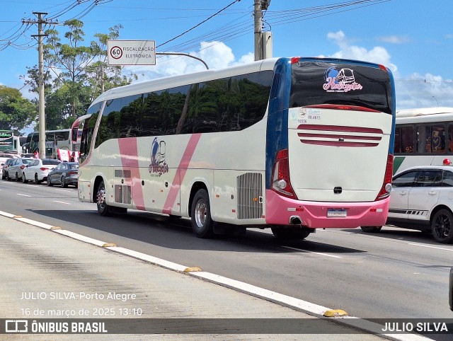 Halicyatur 2701 na cidade de Porto Alegre, Rio Grande do Sul, Brasil, por JULIO SILVA. Número da foto: #12887798.