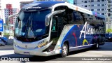 Alexandre Turismo 1134 na cidade de Itajaí, Santa Catarina, Brasil, por Alexandre F.  Gonçalves. Número da foto: #12888277.