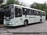 Viação Falcão RJ 179.012 na cidade de Resende, Rio de Janeiro, Brasil, por Osvaldo Born. Número da foto: #:id.