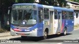 Transportes Capellini 32.066 na cidade de Campinas, São Paulo, Brasil, por Cleverson Giraldi. Número da foto: #12890739.