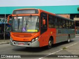 TRANSPPASS - Transporte de Passageiros 8 0343 na cidade de São Paulo, São Paulo, Brasil, por Michel Eduardo da Silva. Número da foto: #:id.