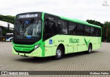 Viação Falcão RJ 179.013 na cidade de Barra Mansa, Rio de Janeiro, Brasil, por Matheus Freitas. Número da foto: #12890114.