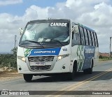 Coopertalse 185 na cidade de Monte Alegre de Sergipe, Sergipe, Brasil, por Gustavo Vieira. Número da foto: #12888499.