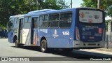 Transportes Capellini 19.050 na cidade de Campinas, São Paulo, Brasil, por Cleverson Giraldi. Número da foto: #12890733.