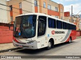 Rouxinol 375 na cidade de Belo Horizonte, Minas Gerais, Brasil, por Rodrigo Barraza. Número da foto: #12889117.